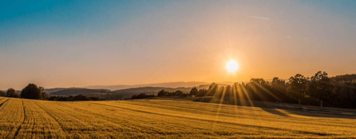 16_Reguli_noi_pentru_vanzarea_terenurilor_agricole_din_extravilan