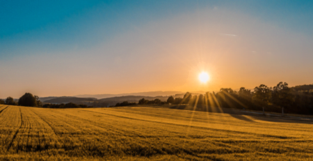 16_Reguli_noi_pentru_vanzarea_terenurilor_agricole_din_extravilan