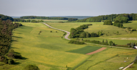24_Scoaterea_unui_teren_din_circuitul_agricol_aflat_în_extravilan