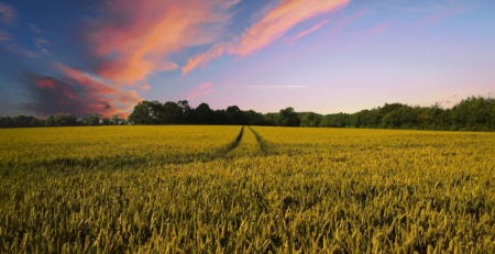 68_Reguli_vanzare_terenuri_agricole_extravilan